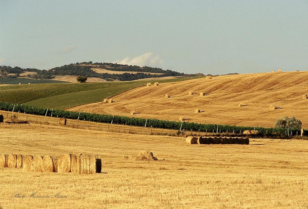 Agriturismo Podere Biancospino Piscina Privata Chianciano Terme Zewnętrze zdjęcie